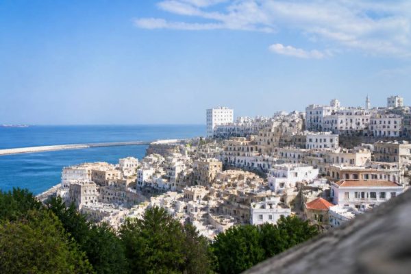 Alger oran : que voir et comment organiser son voyage en Algérie